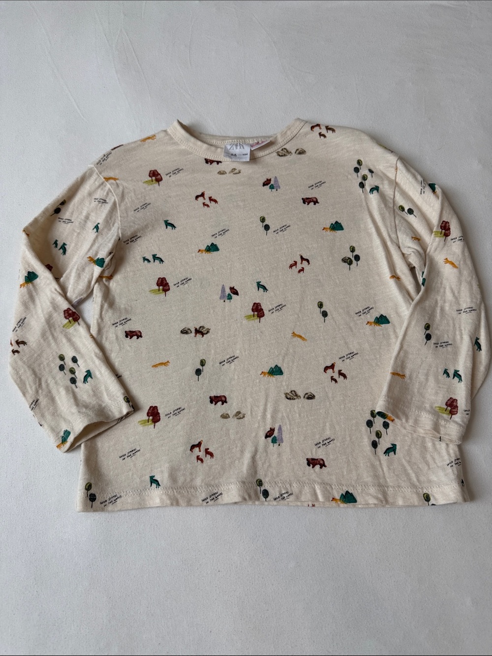 Zara Kids Long Sleeve Nature Shirt Size 3-4 Years